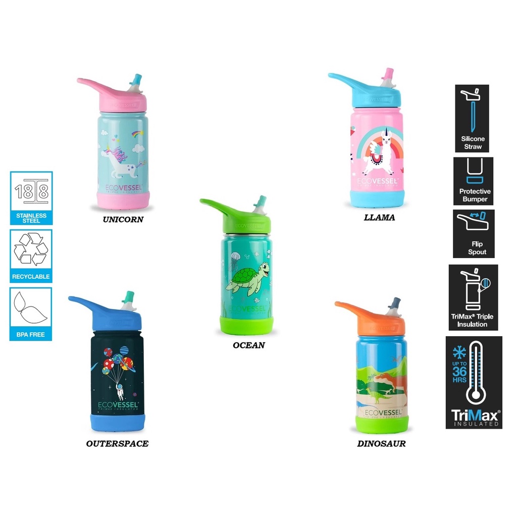 EcoVessel Frost Stainless Steel Kids Water Bottle with Straw Lid, Leak Proof Bottle with Carry Handle & Bottle Bumper, Kids Water Bottle for School